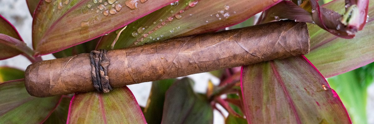 ABCCigarMak's profile banner image