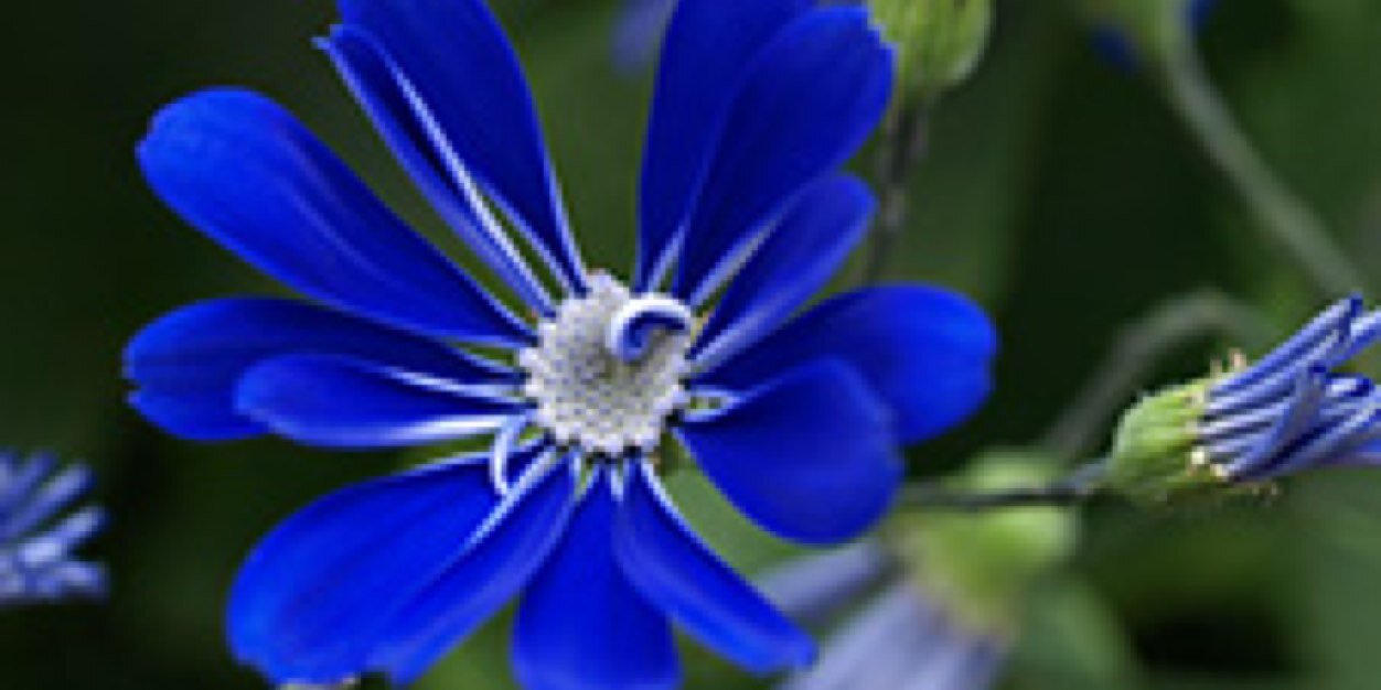 crt_e's profile banner image