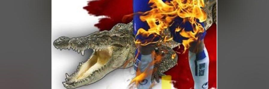Fr11Caiman's profile banner image