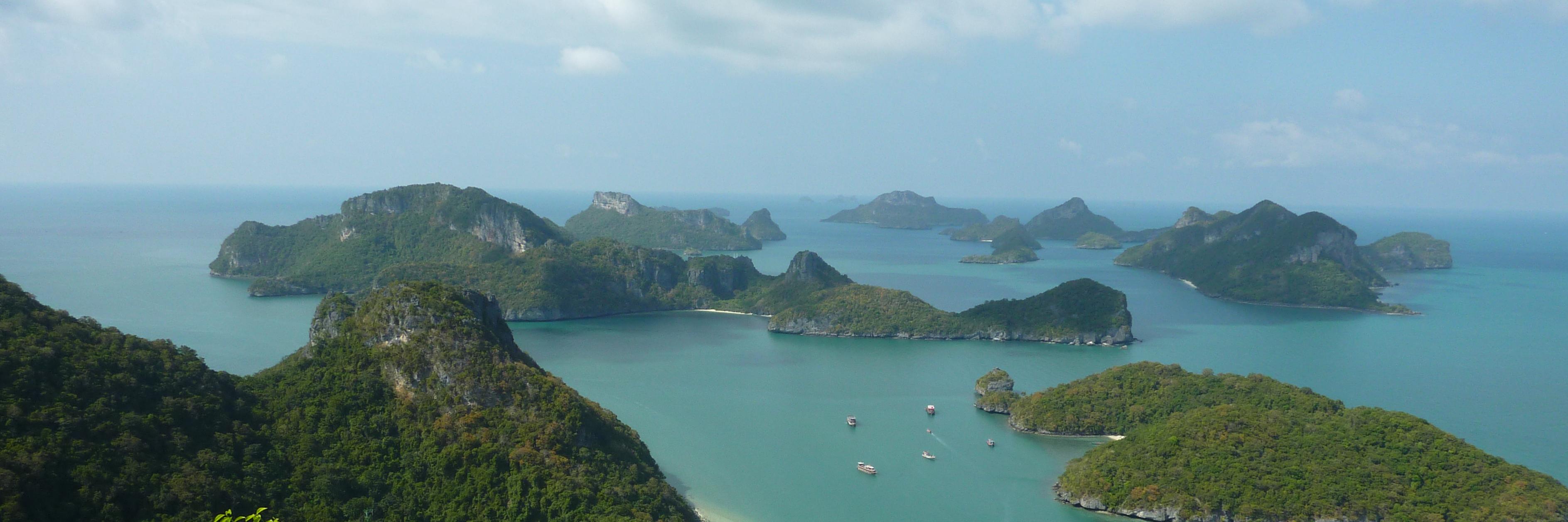 Ricardo Ribalda banner