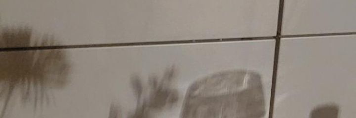BDomhardt's profile banner image