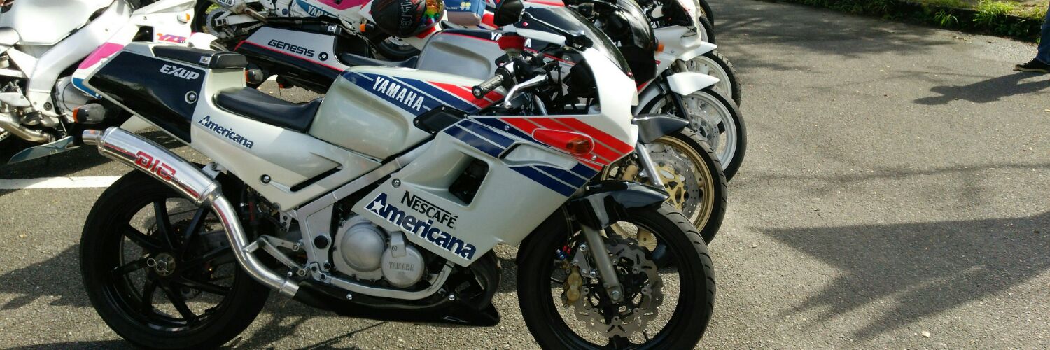 くろちゃん banner