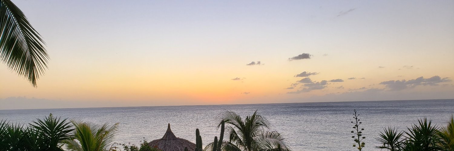 tobeyrobison's profile banner image