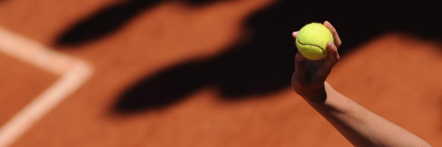 FloxelRiblier's profile banner image
