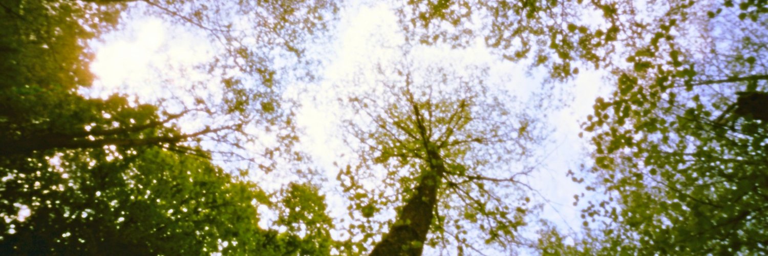 CakoLucero's profile banner image