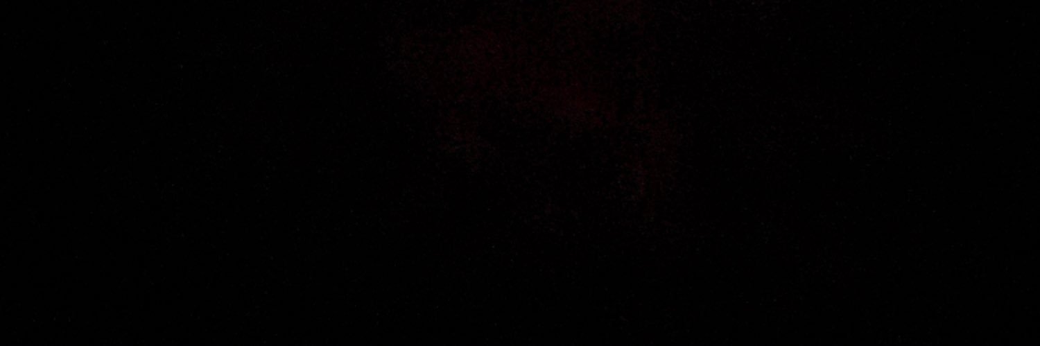 shetweetstweets's profile banner image