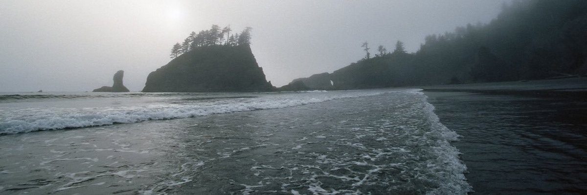 SeawardScourge's profile banner image