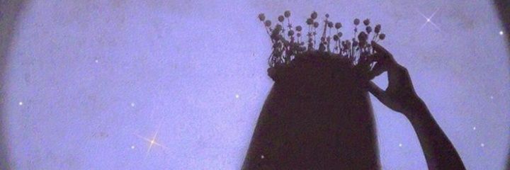 indraniraj96's profile banner image