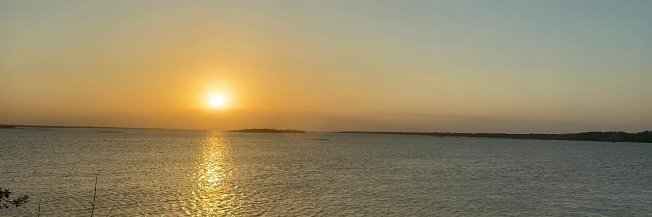 SilviaTuz's profile banner image