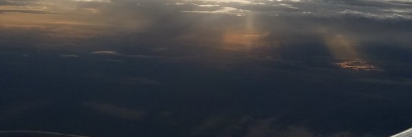 PajetMonet Profile Banner