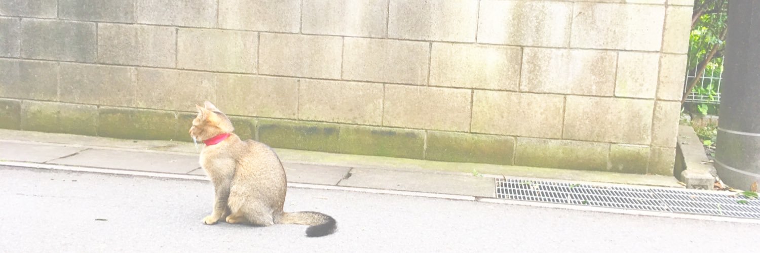 _wzgd's profile banner image