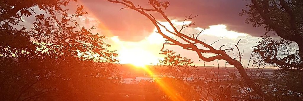 Leo_Sprs's profile banner image
