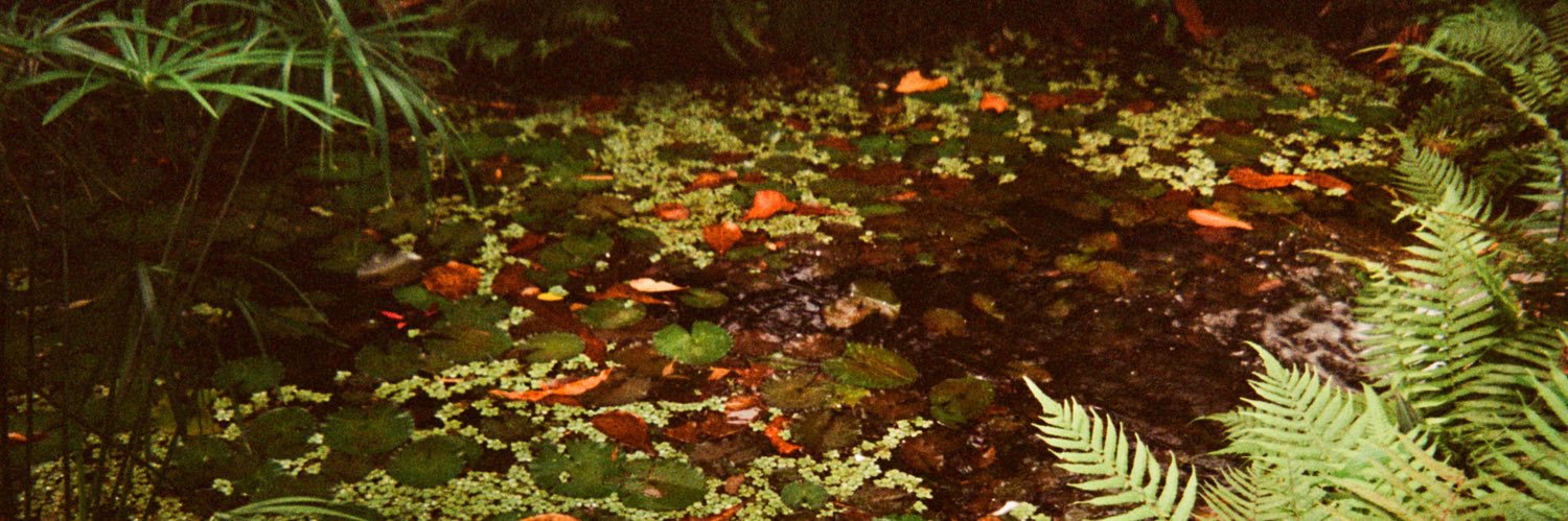 li_L_u's profile banner image