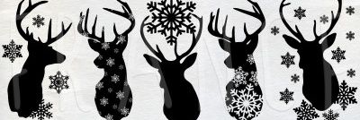 ahnhaneer's profile banner image