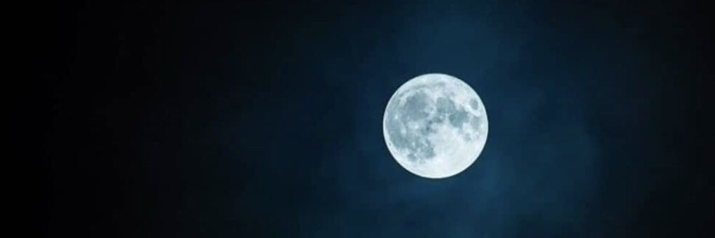 dull_a2's profile banner image