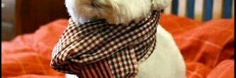 ElueCharles's profile banner image