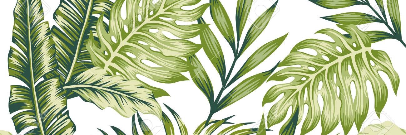 aynikkki's profile banner image