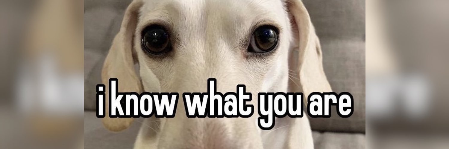 idk what im doing here banner