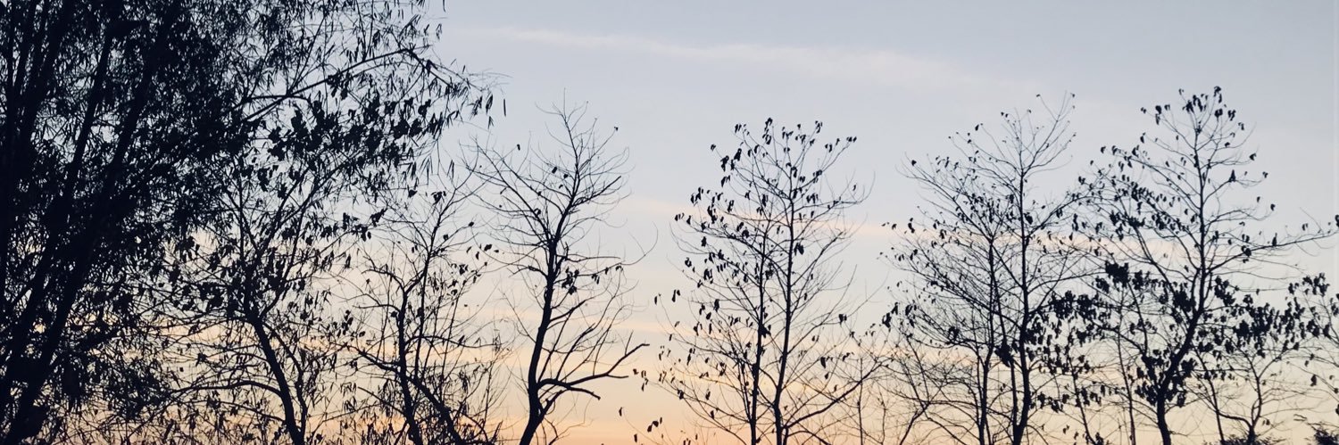 jamesxredd's profile banner image