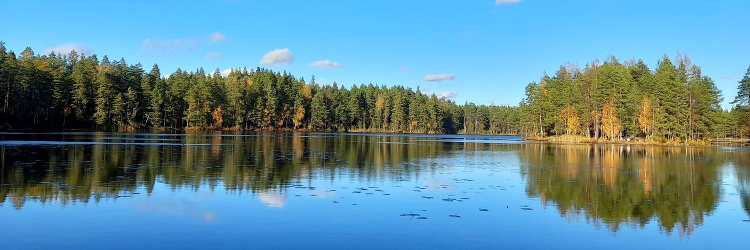 Sarah Schiffling banner