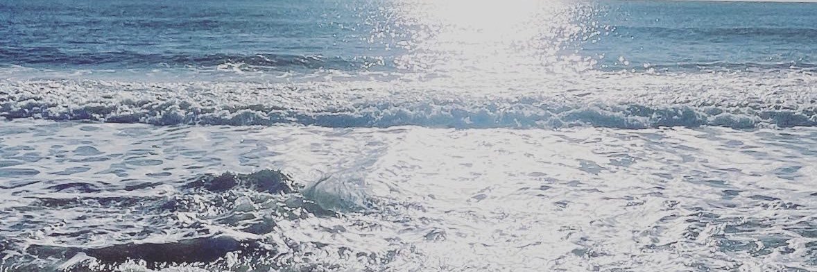 $ banner