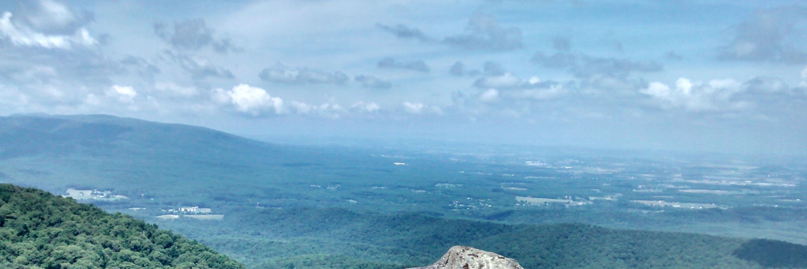 UVaCompassion's profile banner image