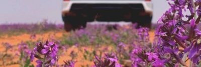 ilouvyou's profile banner image