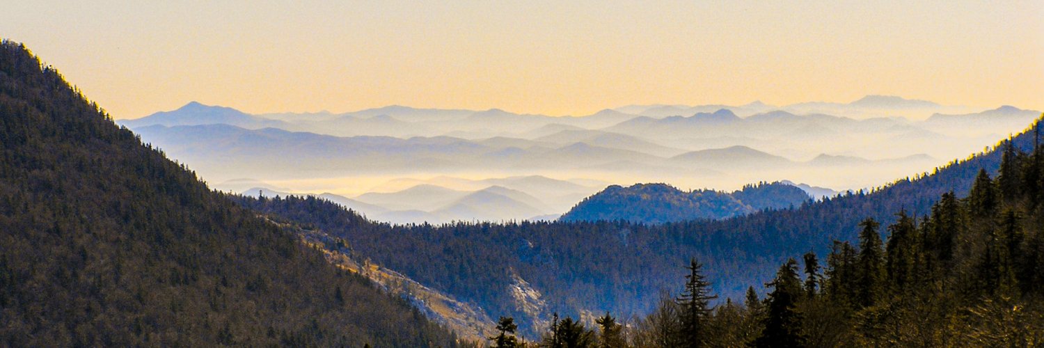 noah_smokovic's profile banner image