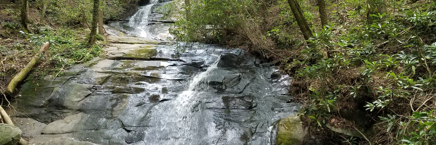 Jack (told/you/so) banner