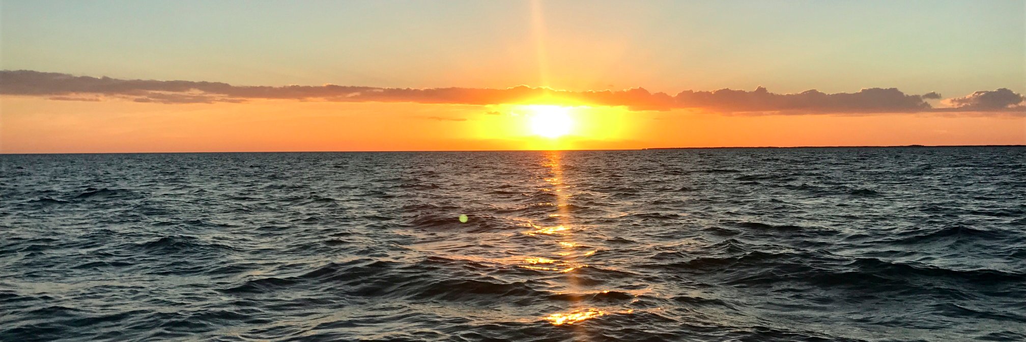 Kellie Wang, PharmD, BCCCP, BCEMP banner