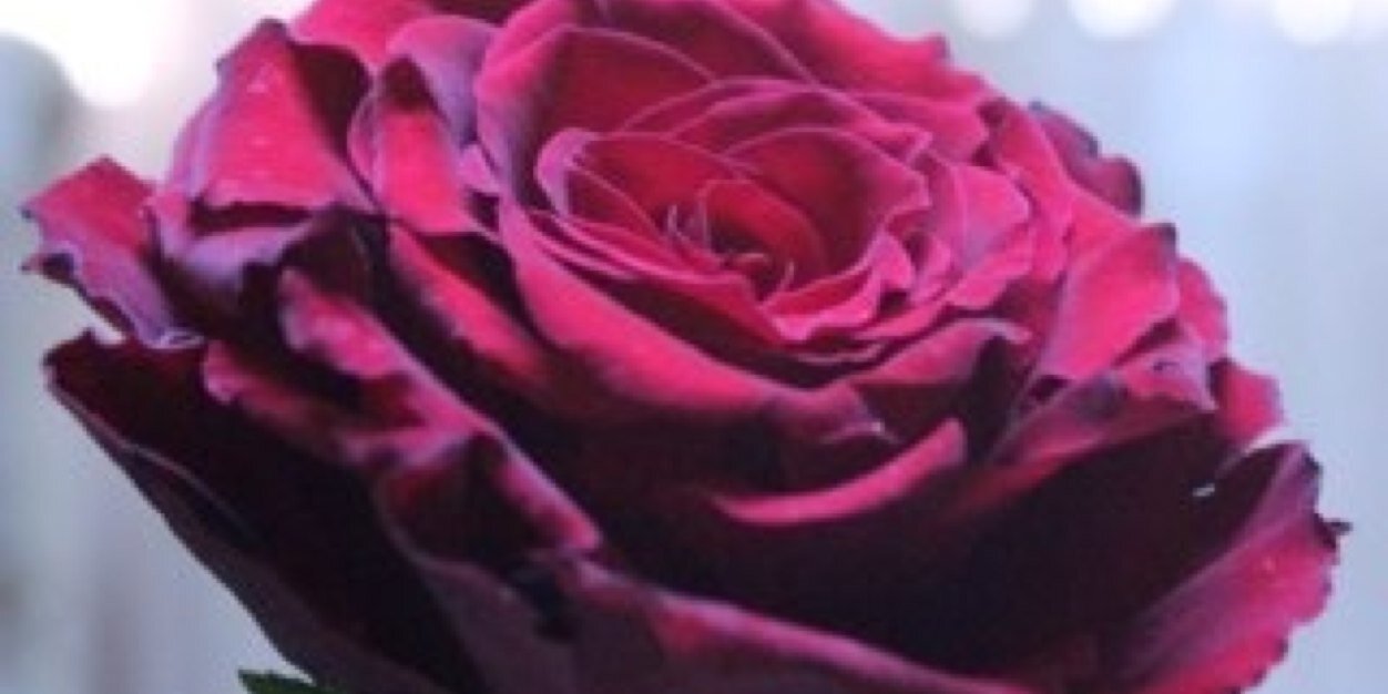 FadhHsn's profile banner image