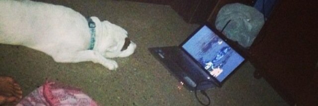 Milena narvaez banner