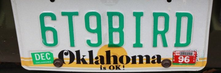 chickfirebird69's profile banner image