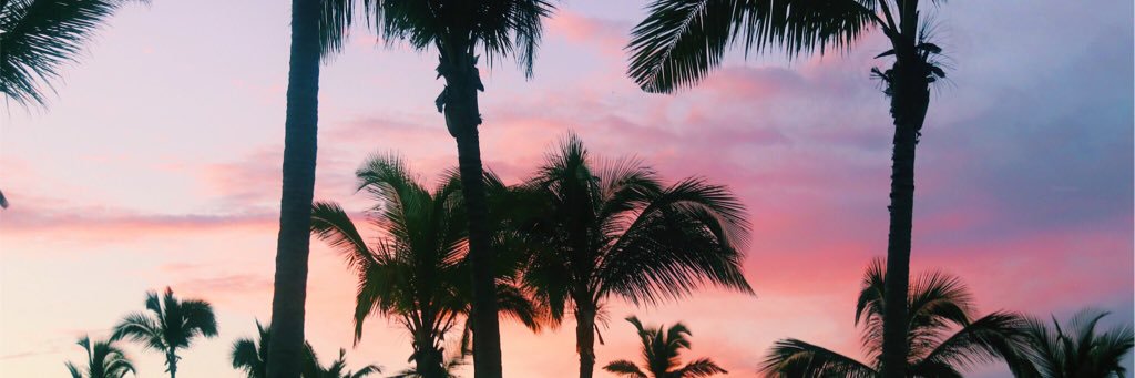 jaylenwheat's profile banner image