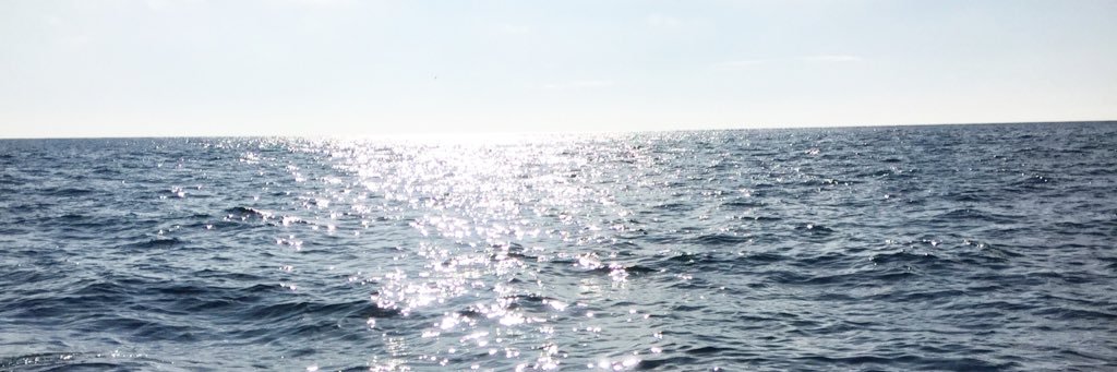 FanneydoraV's profile banner image