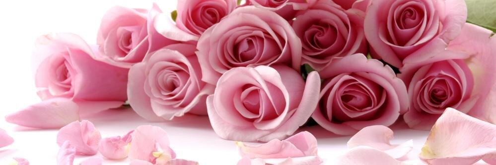 fada_rose's profile banner image
