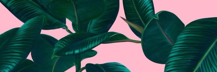 SketchInteriors's profile banner image