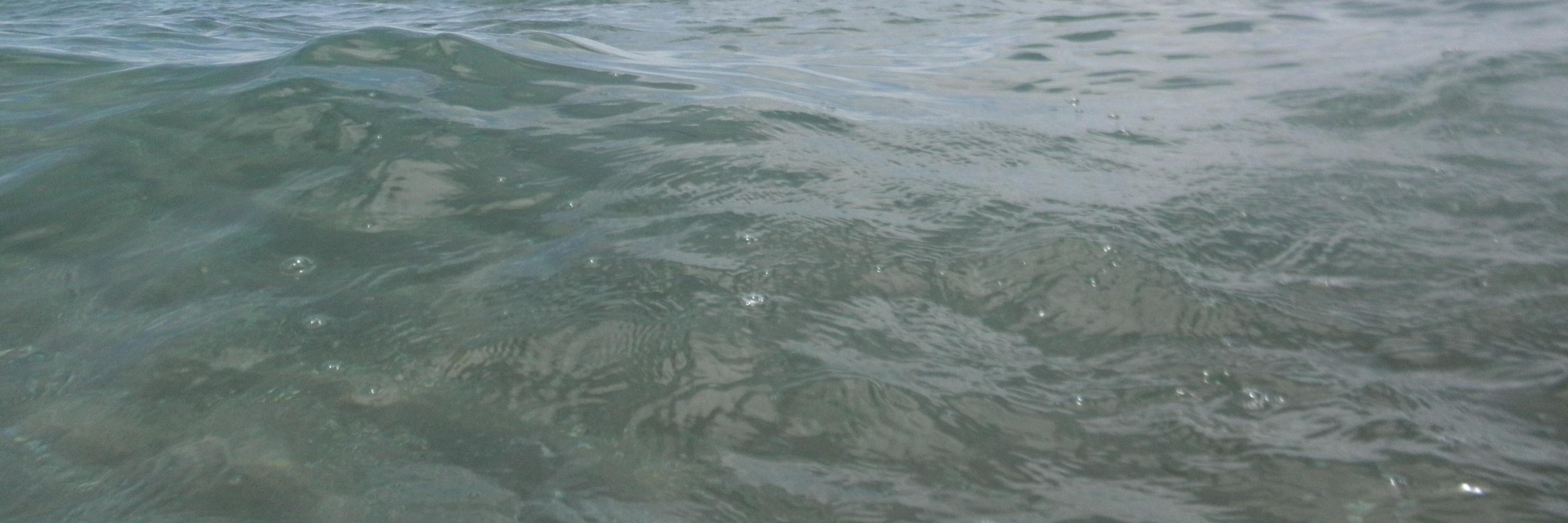 sallycansurf's profile banner image