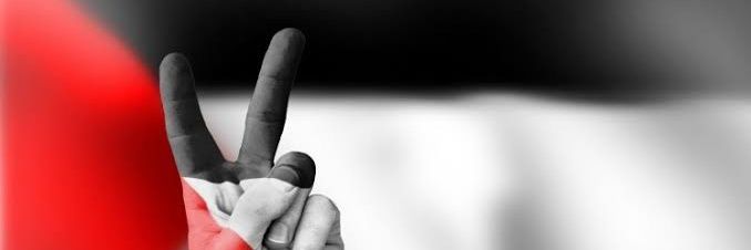 tercant_'s profile banner image