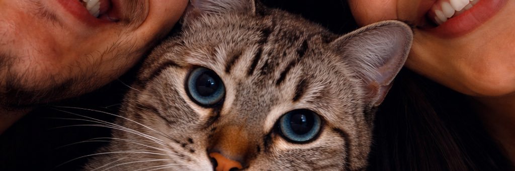 GaabViera's profile banner image