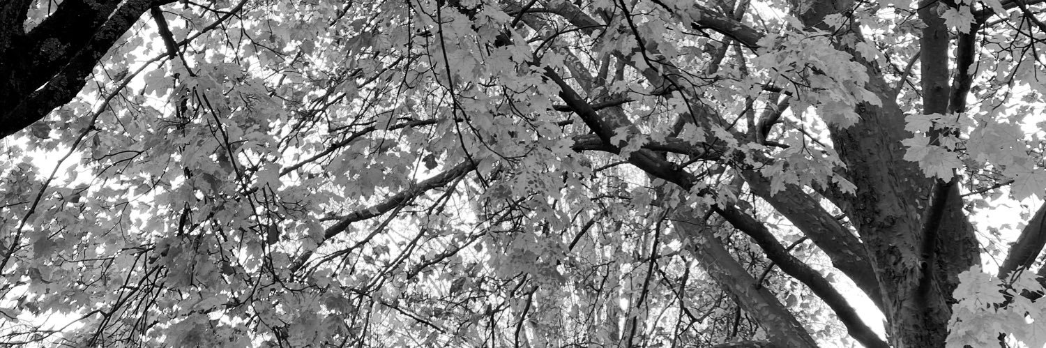 Perriii_ne's profile banner image