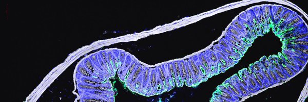 Sigientist Profile Banner