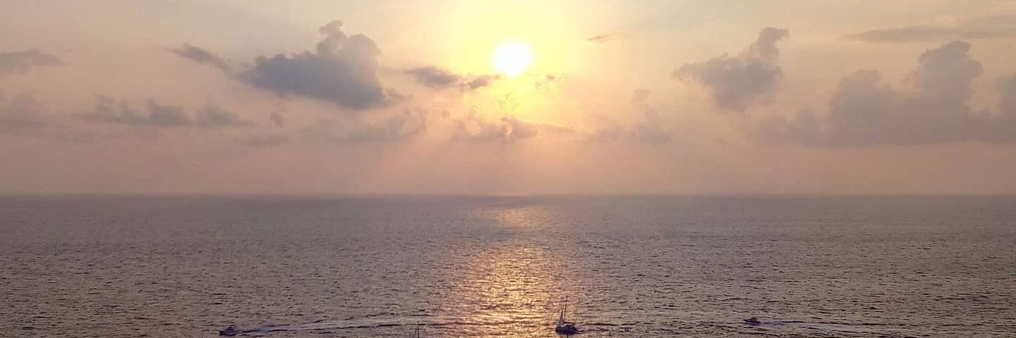 Pierre MIALON banner