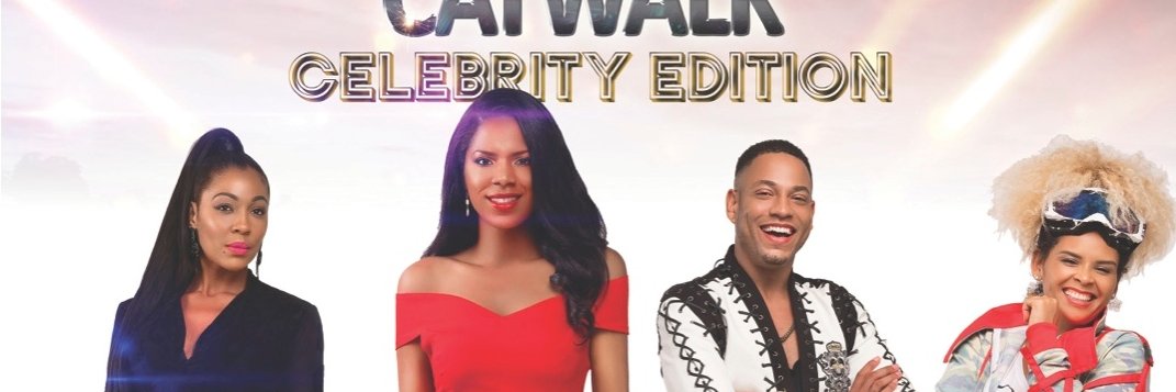 MISSION_CATWALK's profile banner image