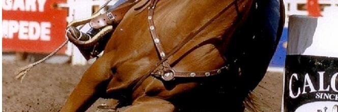 janetcbarrels's profile banner image