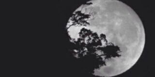 __loomy's profile banner image