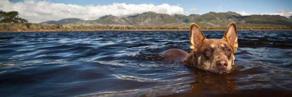 MichaelLordtri Profile Banner