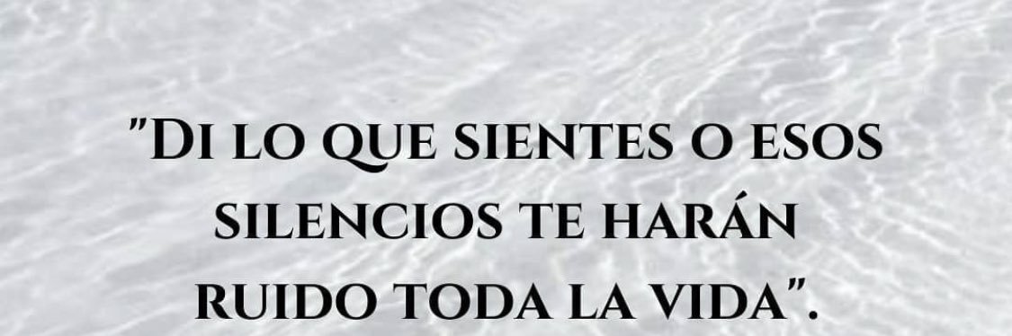 Seba Campos Cervera E. banner