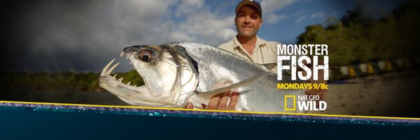 ZebHogan Profile Banner
