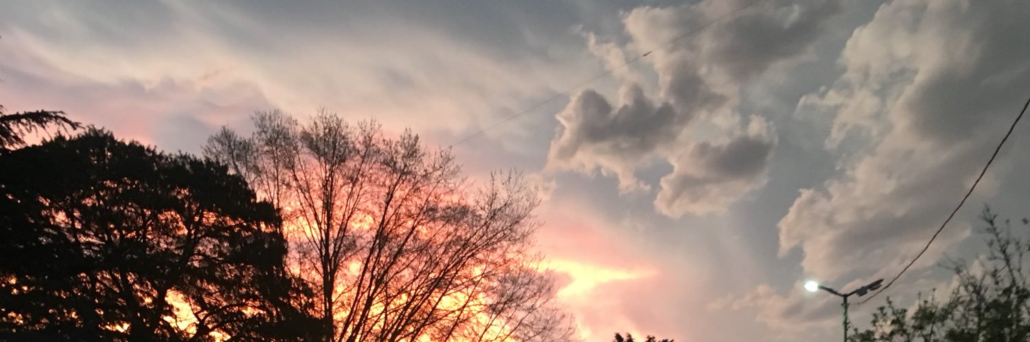 Miluu97's profile banner image